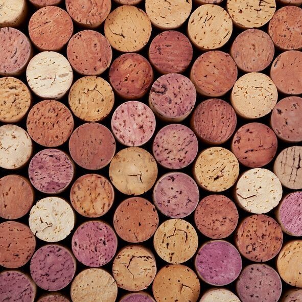 基礎品酒與小食搭配：跨越國界的美酒之旅 @奇諾崗 Chino  (11/01/2025)