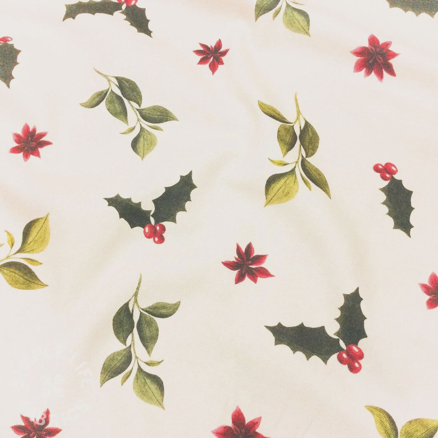Christmas Canvas, Design: Holly Leaves