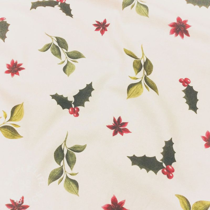 Christmas Canvas