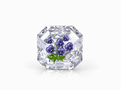 Beautiful Flower