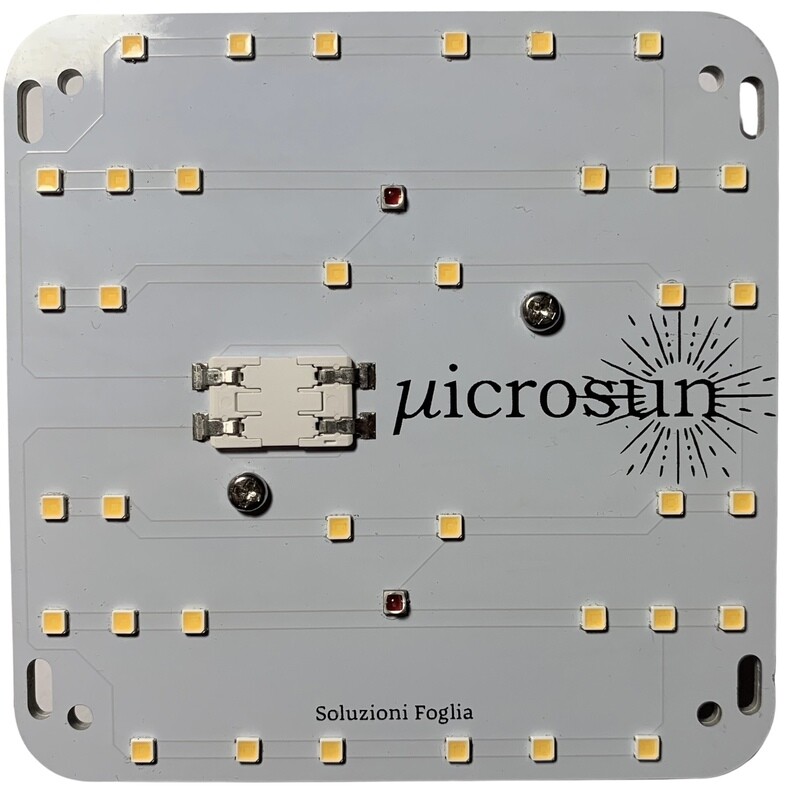 Microsun