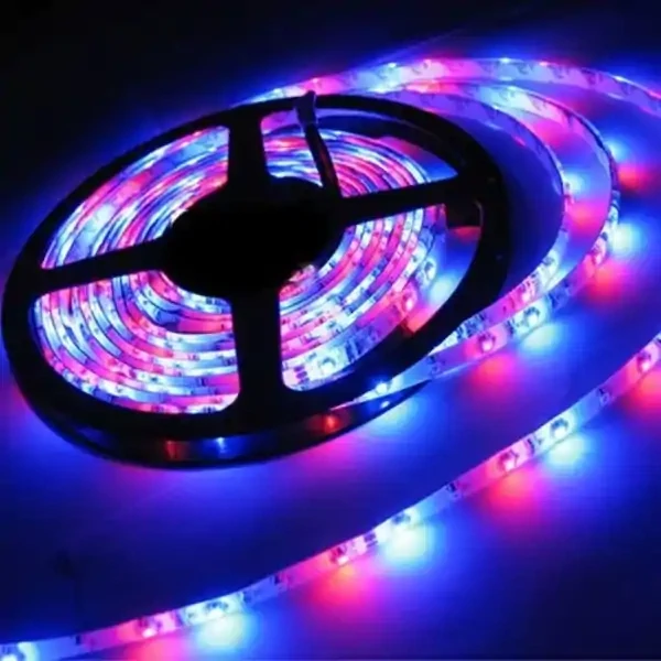 LED lights