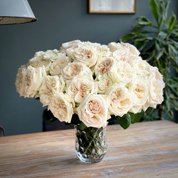 White O&#39;Hara 60 cm x 10 шт