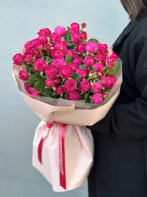 Dima Bombastic 60 см x 5 шт