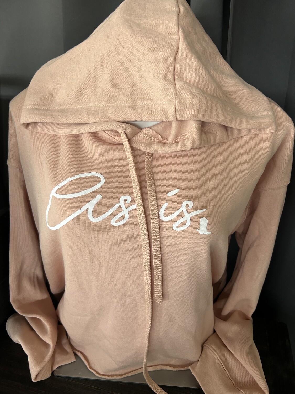 As Is Crop Hoodie