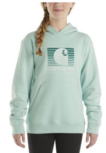 Carhartt Kids Graphic Hoody
