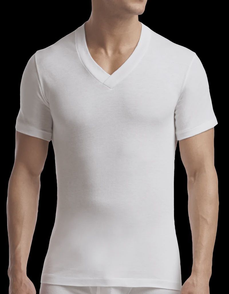 Stanfields 2PK Supreme V-Neck T-Shirt, Colour: White, Size: S