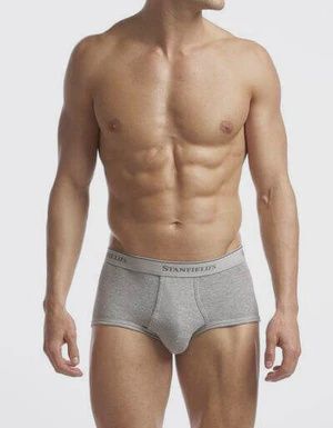 Stanfields Supreme Briefs, Colour: Grey, Size: S