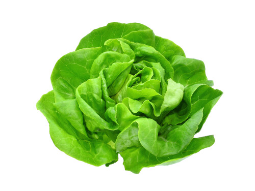 Lettuce ORGANIC (seed pkg)