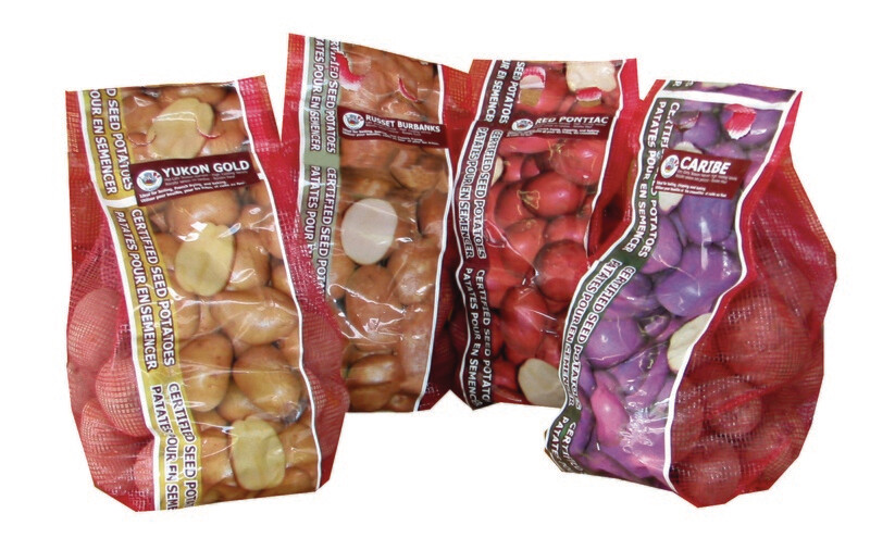 Seed Potatoes