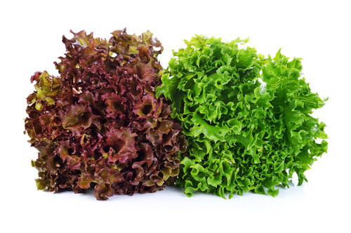 Leaf Lettuce (seed pkg)