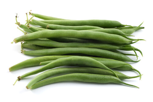 Beans - Bush Beans  (seed pkg)