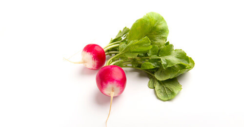 Radish ORGANIC (seed pkg)