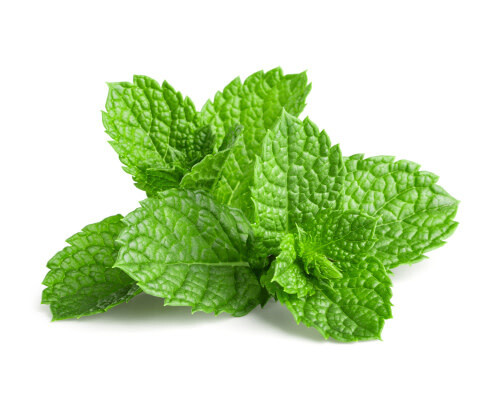 Spearmint (seed pkg)