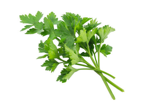 Parsley (seed pkg)