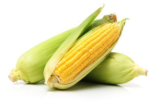 Sweet Corn (seed pkg)