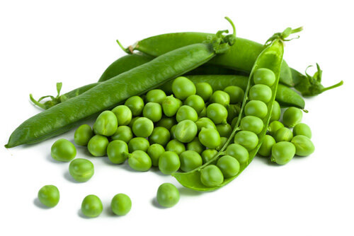 Peas ORGANIC (seed pkg)