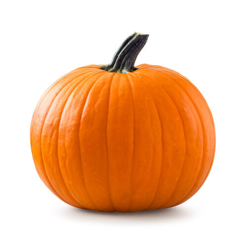 Pumpkins ORGANIC (seed pkg)
