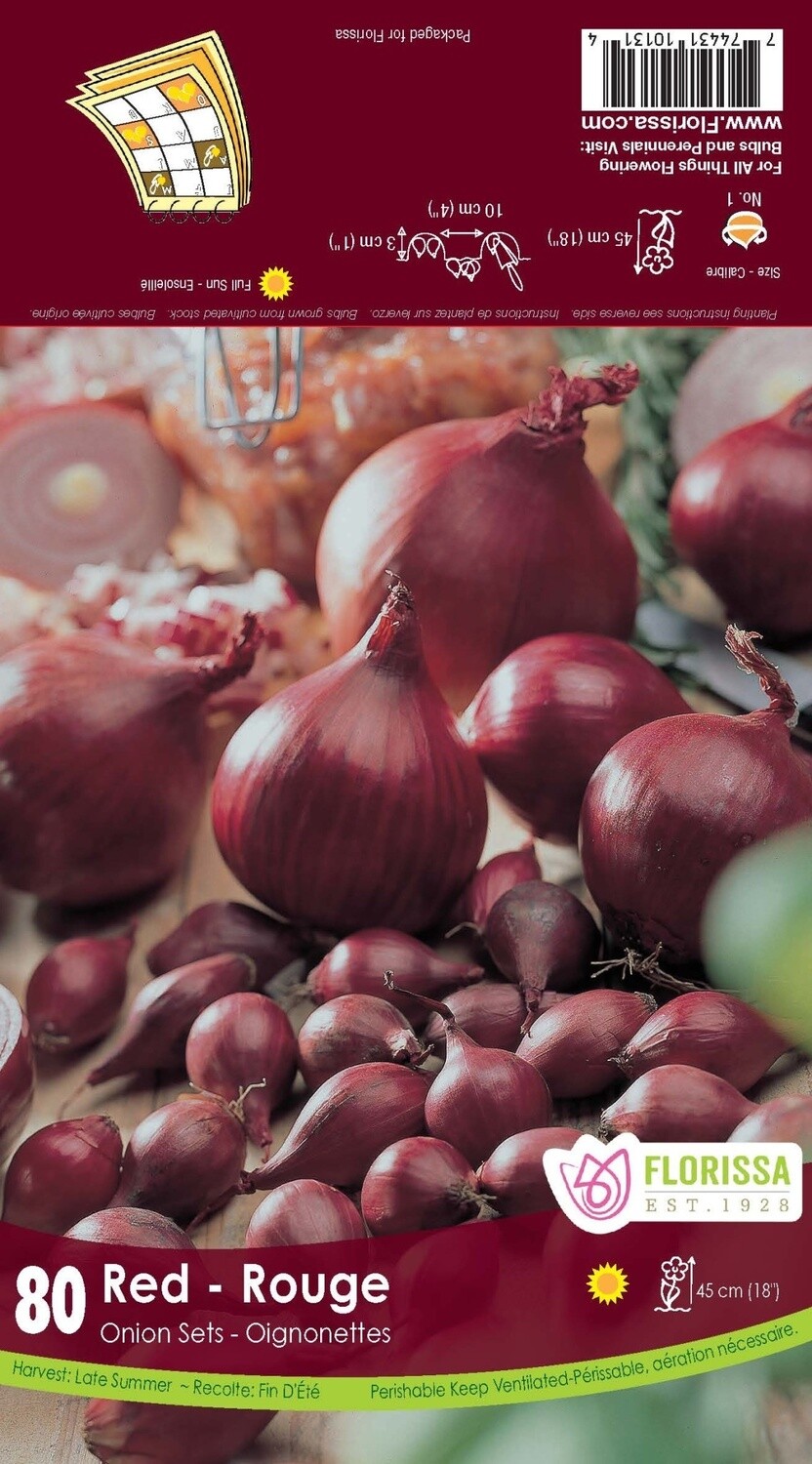 Onion Set : Red (80 bulbs)