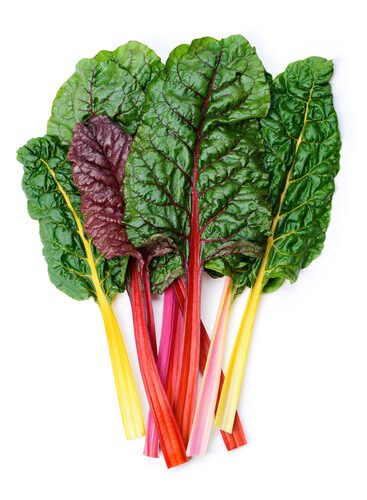 Swiss Chard ORGANIC (seed pkg)