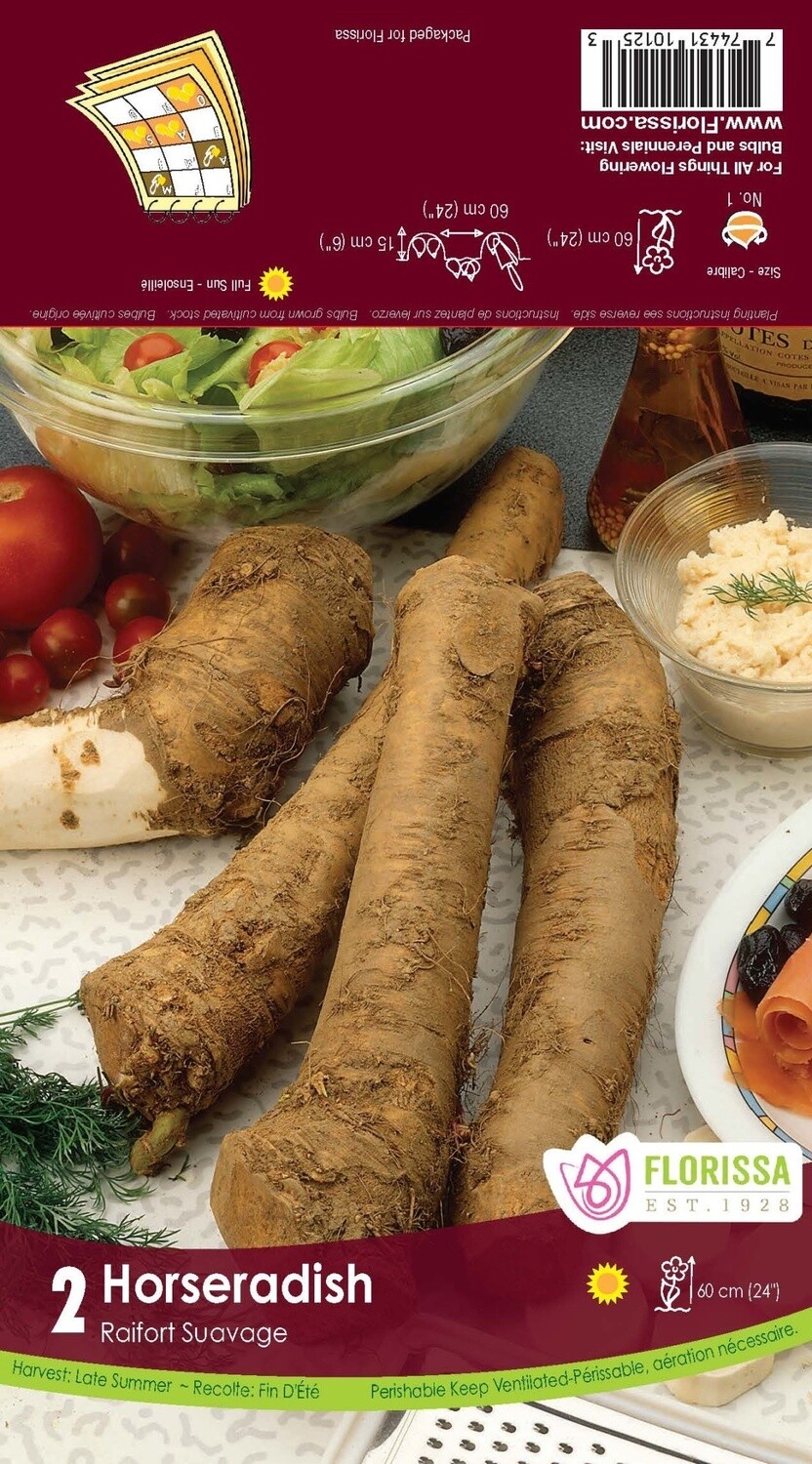 Horseradish (root pkg) - (2/pkg)