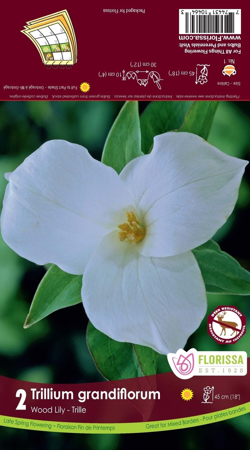 Trillium (root pkg) Grandiflorum (2/pkg)