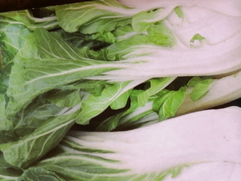 Cabbage ORGANIC (seed pkg) - Baby Pak Choi