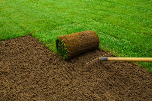 SOD - 1 roll