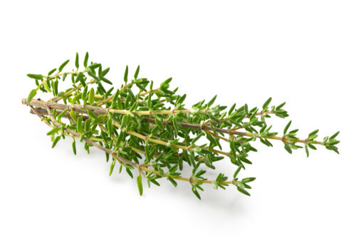 Thyme ORGANIC (seed pkg)