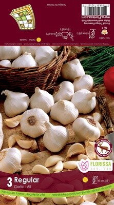 Garlic (bulb pkg) White (3/pkg)