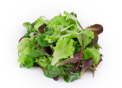 Mesclun ORGANIC (seed pkg) - Mix