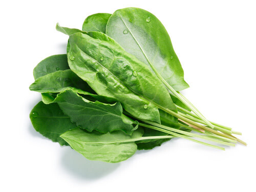 Spinach ORGANIC (seed pkg) - Bloomsdale