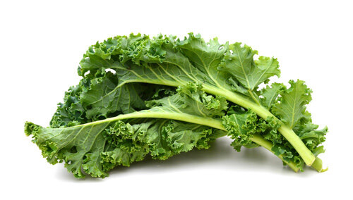 Kale ORGANIC (seed pkg) - Red