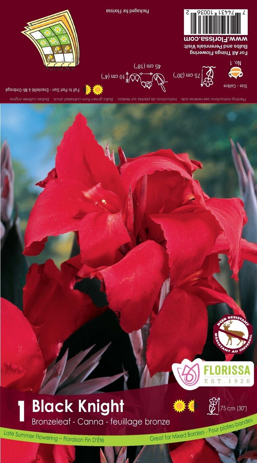 Canna Lilies (bulb pkg) - Bronzeleaf Black Knight (1/pkg)