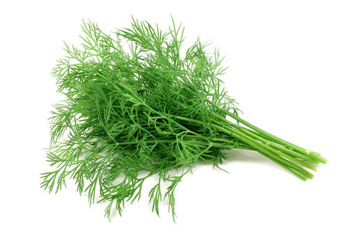 Dill ORGANIC (seed pkg)