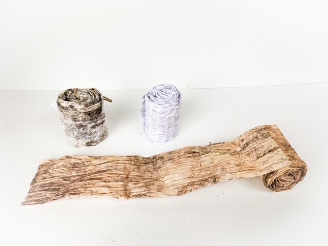 Ribbon - Birch