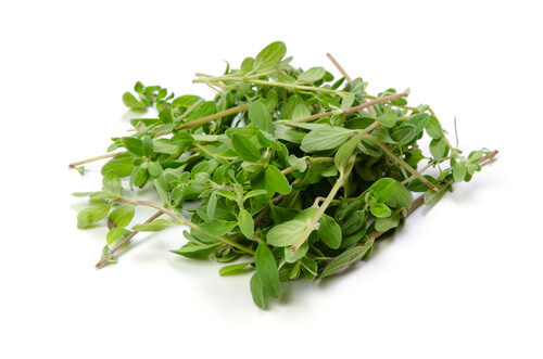 Sweet Marjoram (seed pkg)