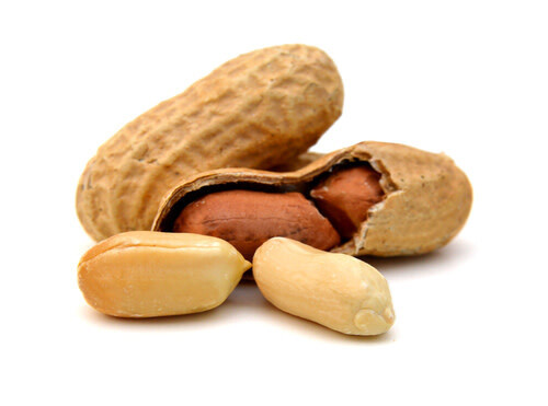 Peanut (seed pkg) - Valencia