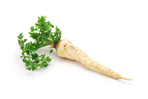Parsley Root (seed pkg)