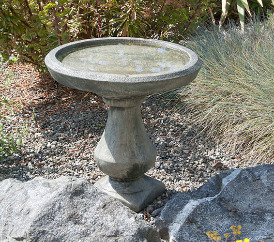 Statuary WS - Rotondo Birdbath
