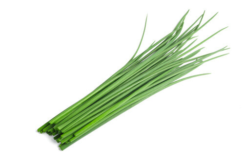Chives ORGANIC (seed pkg)