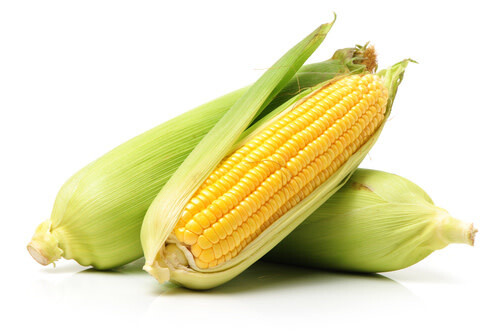 Corn ORGANIC (seed pkg) - Supersweet