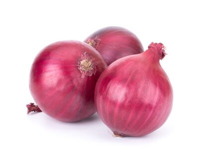Onion &#39;Red&#39; - 4 Cell Pack