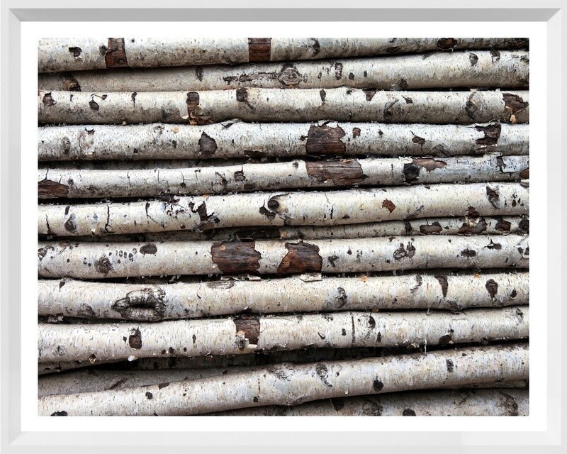 Art - Birch Abstract II