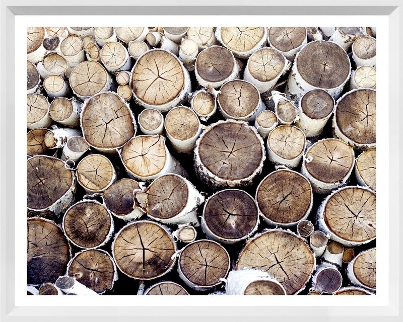 Art - Birch Abstract III