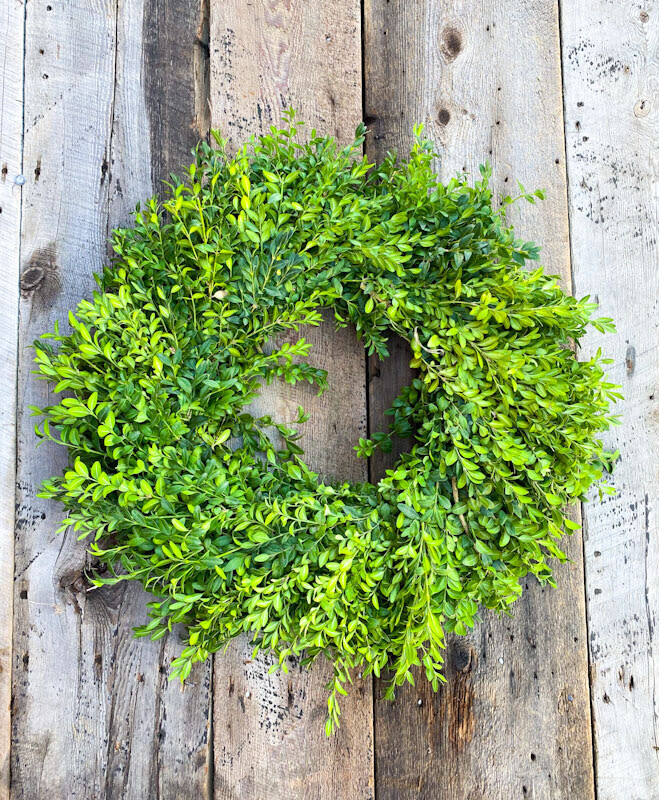 Fresh Wreath - Boxwood Round 20&quot;