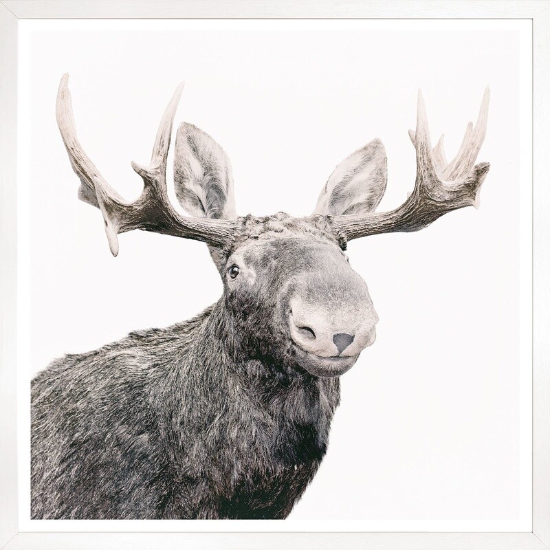 Art - Happy Moose