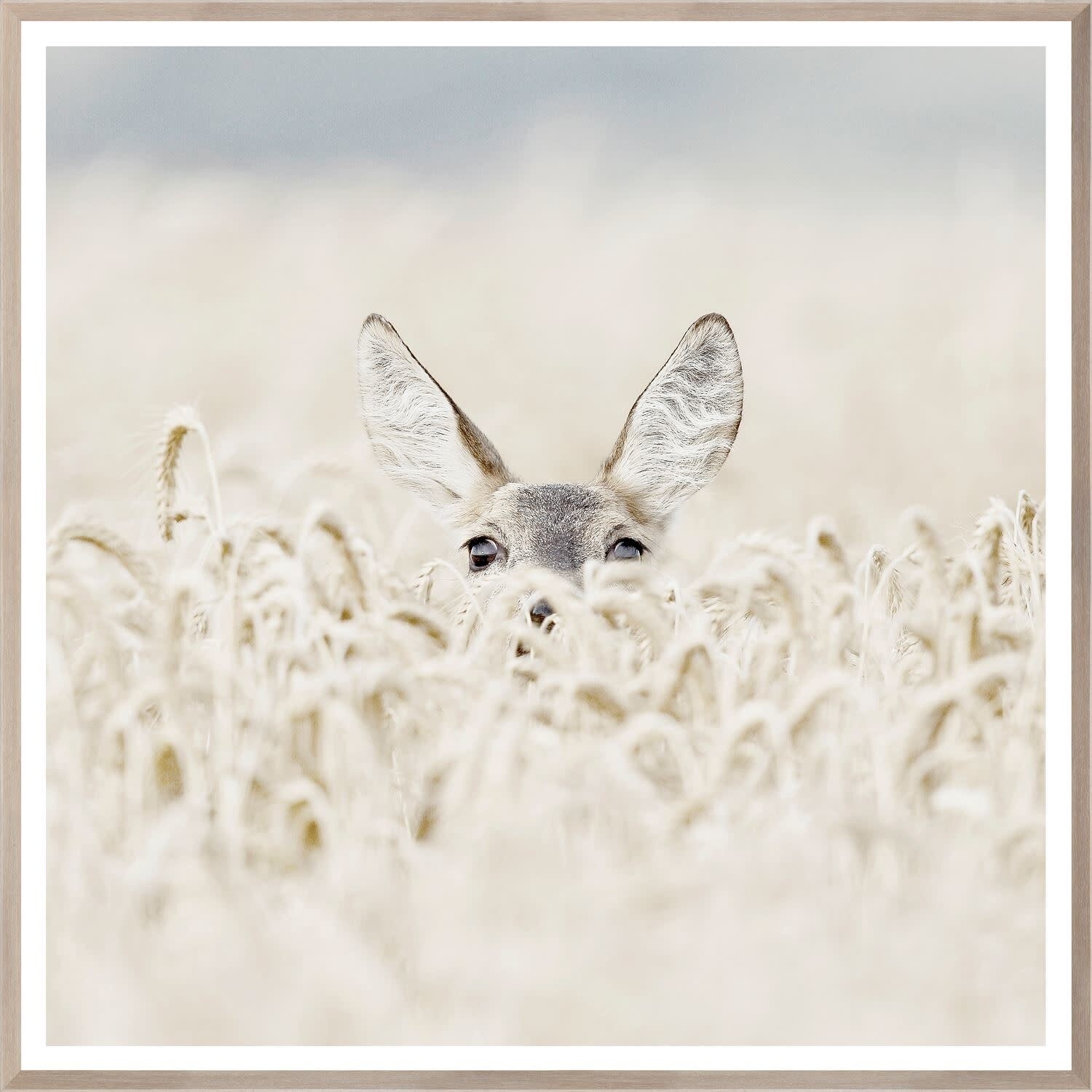 Art - Peekaboo Deer, Size: Mini 20&quot; x 20&quot;