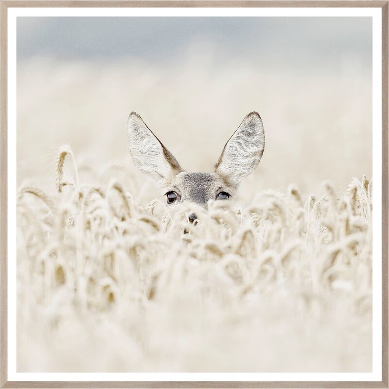 Art - Peekaboo Deer