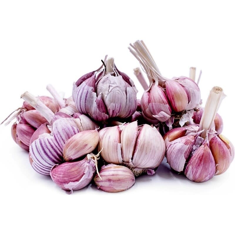 Garlic (bulb pkg) Nov. Spanish Roja Tops (3/pkg)